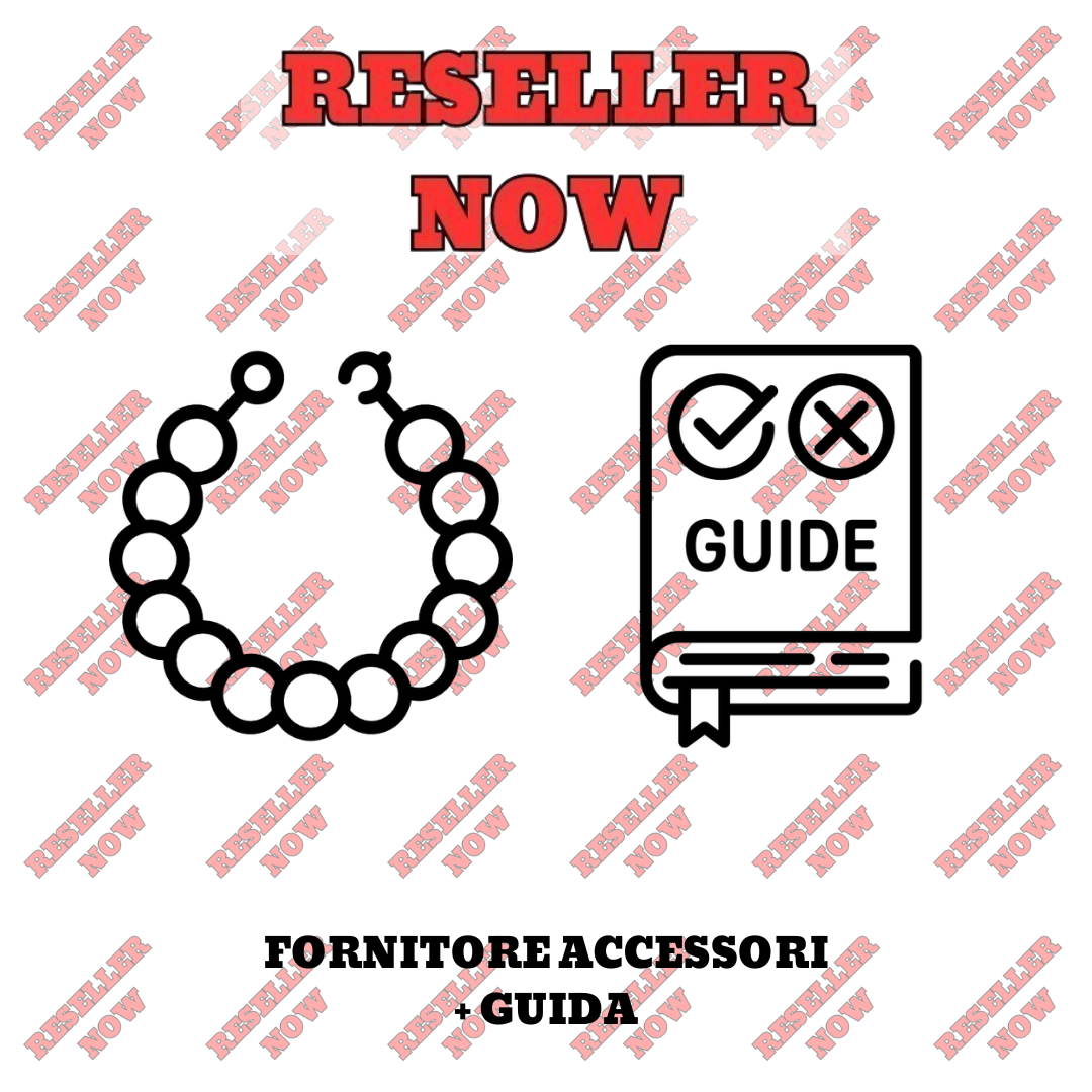 FORNITORE ACCESSORI + GUIDA